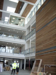 This wood clad wall will face the glass art.